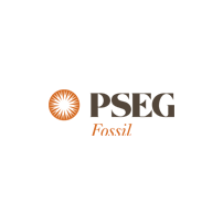 Pseg logo